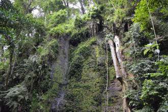 Cascade Arusha