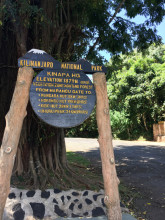 Ascension du Kilimanjaro!